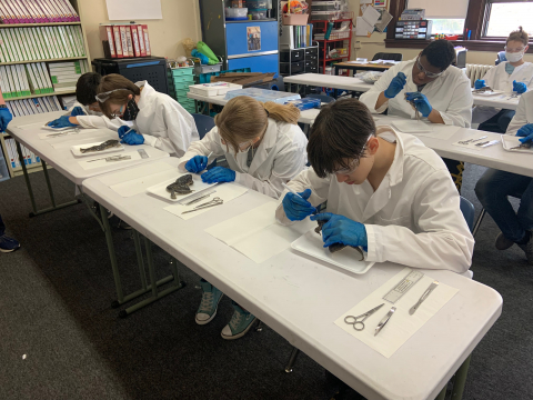7-Science